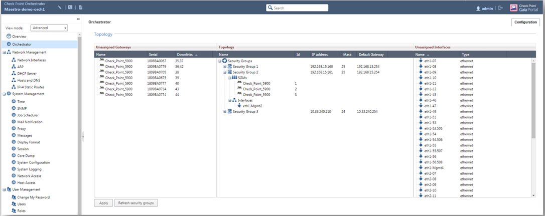 Ansicht des Check Point Maestro Web Browser User Interface